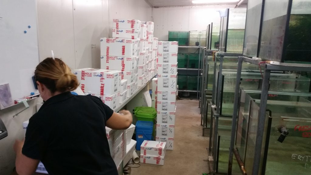 LiveFish Celebrates 20 years - This is Our Story