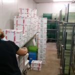 LiveFish Celebrates 20 years - This is Our Story